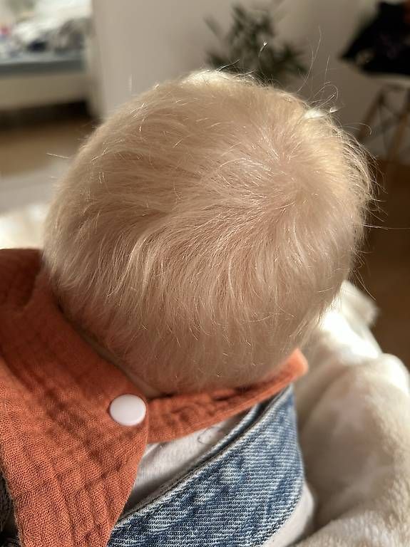 Puppen: Reborn Baby  – Neu und originalverpackt aus Baden von Nadinefischli 3