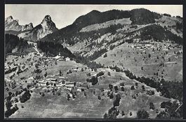 Revereulaz-Mayen-Torgon s /Vionnaz, Pano