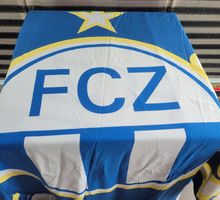 FCZ ZÜRICH Duvet 160/210 frisch gewaschen 