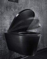 Kartell LAUFEN Wand-WC schwarz matt NEU ohne Sitz