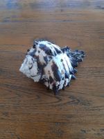 Echte grosse Muschel Boho Shabby Ethno Deko Patina
