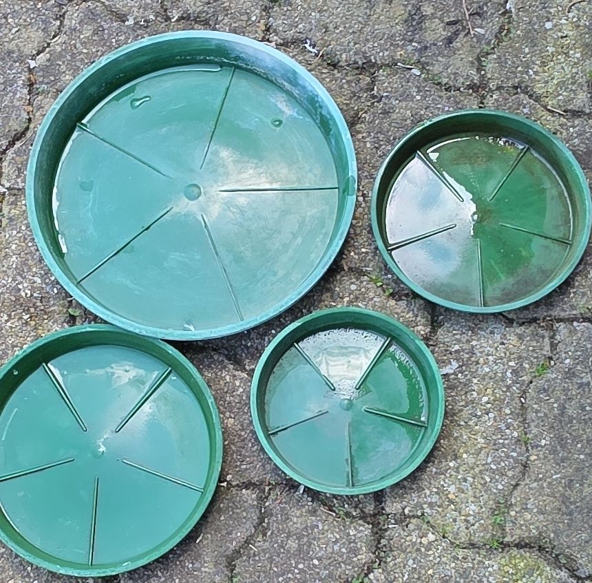Vasi per fiori: Four Green Plastic Plant Saucers - Various Sizes! – Usato da Hinwil venduto da Ehretstock8
