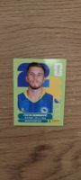 Panini FIFA World Cup 2026 Sticker - BIH 17 - Ermedin D.