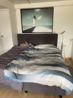 Boxspringbett Eliano 180 × 213 cm mit Motor
