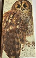 Buch der Vogelwelt Die Vögel Mitteleuropas Rarität top
