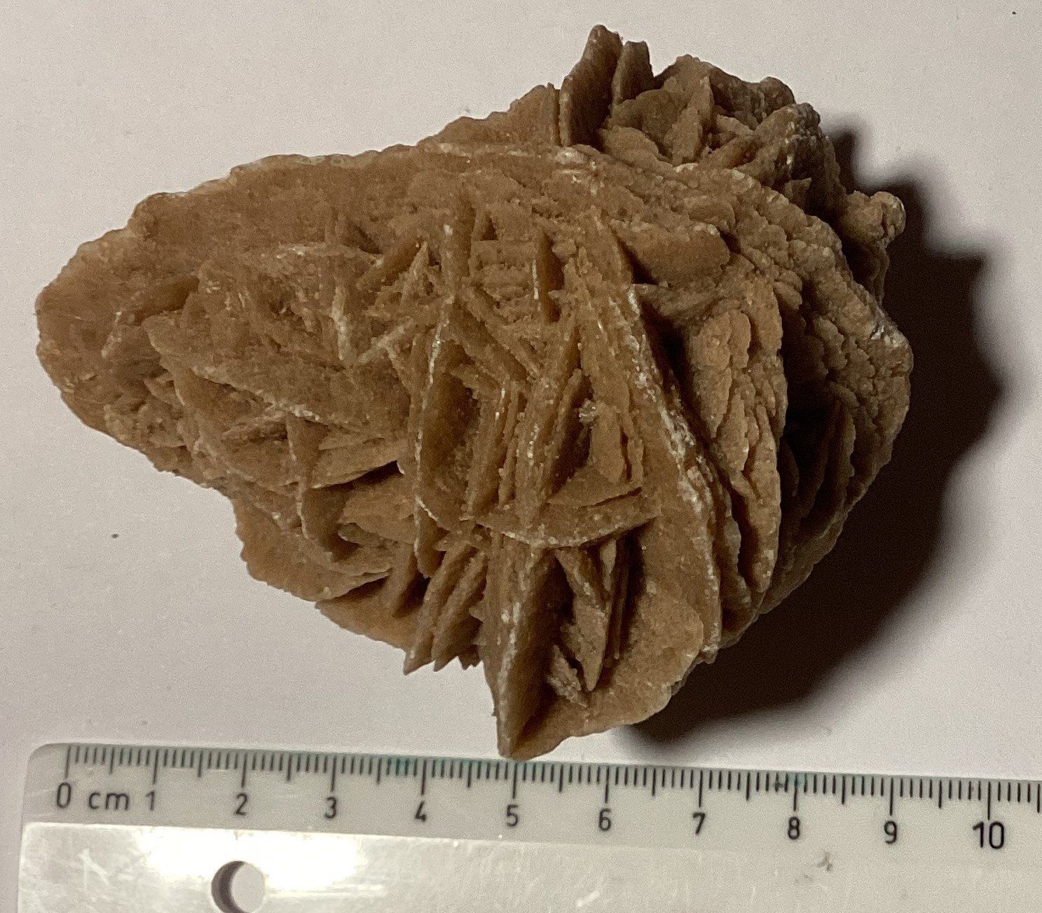 Mineralien & Heilsteine: Rosa del deserto – Gebraucht aus Arogno von alan_service