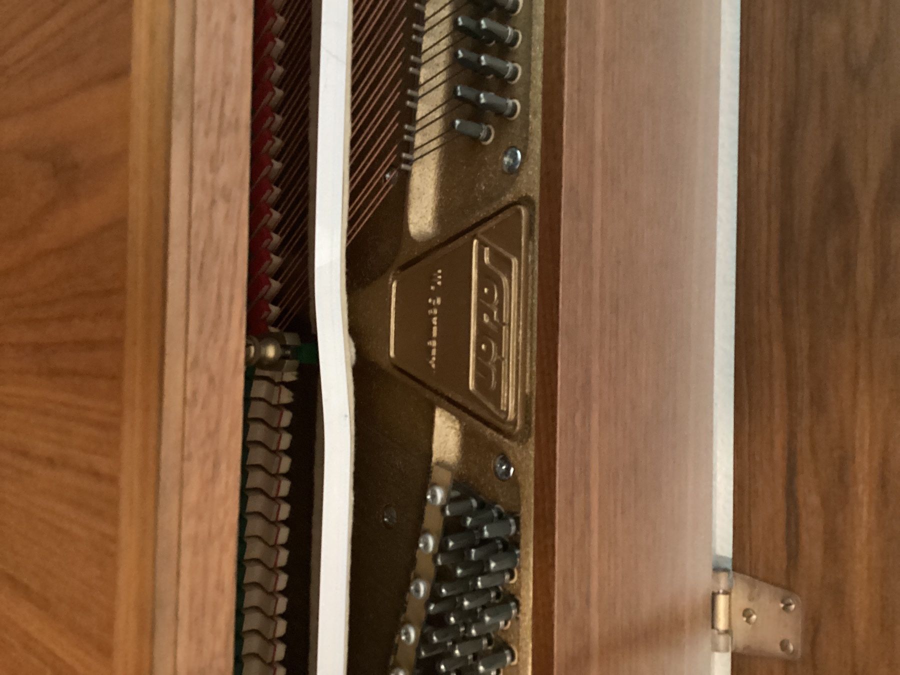 Solton Instruments de musique: Klavier – D'occasion à Basel par siljor6639 4