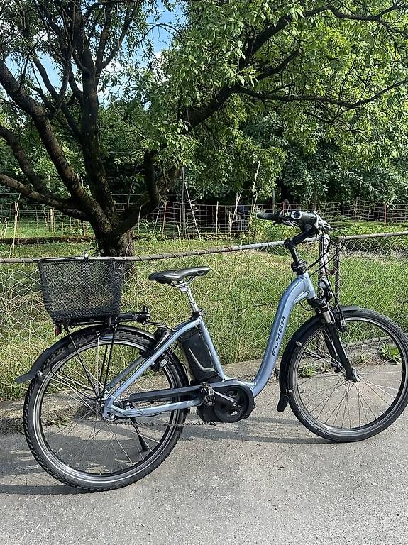 Flyer Biciclette: E-BIKE  / FLYER  / 25 km /h – Usato da Luzern venduto da Satbere 2