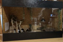 Terrario per rettili