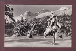 PIZ JULIER und Albana - 1956