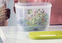 Tupperware Contenitori & Simili: Tupper Ventsmart 1,8 l – Nuovo e nell'imballaggio originale da Schweizersholz venduto da fuchs06 1