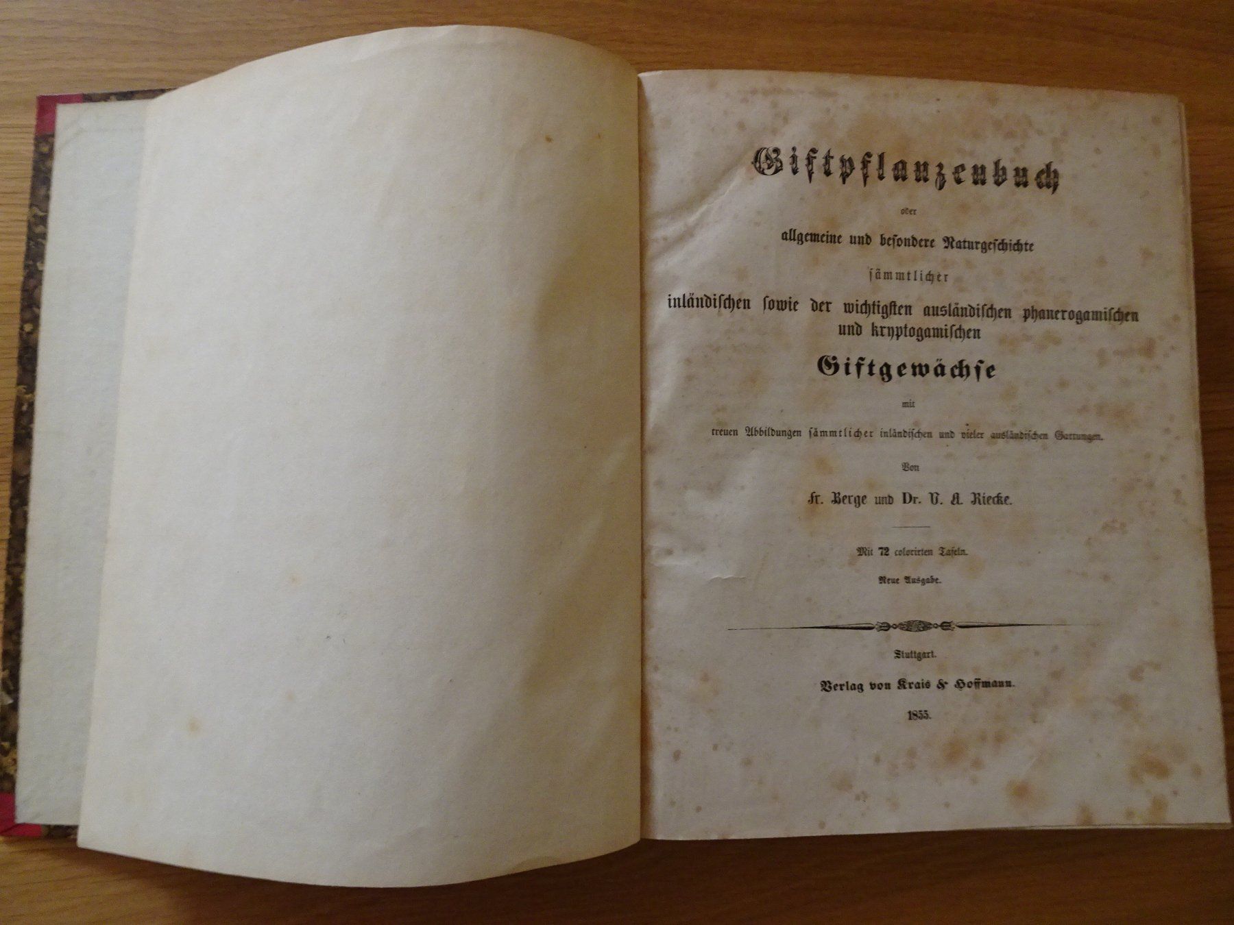 Libri: Giftpflanzenbuch Giftgewächse Berge & Riecke 1855 – Usato da Siebnen venduto da niki61