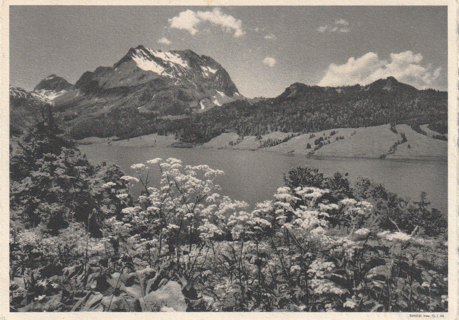 Cartoline postali: AK Stausee Wäggital - gel. 26.9.1940 – Usato da Fribourg venduto da schnalla92