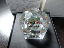 SWAROVSKI*Briefbeschwerer Animal Kingdom neu limitiert