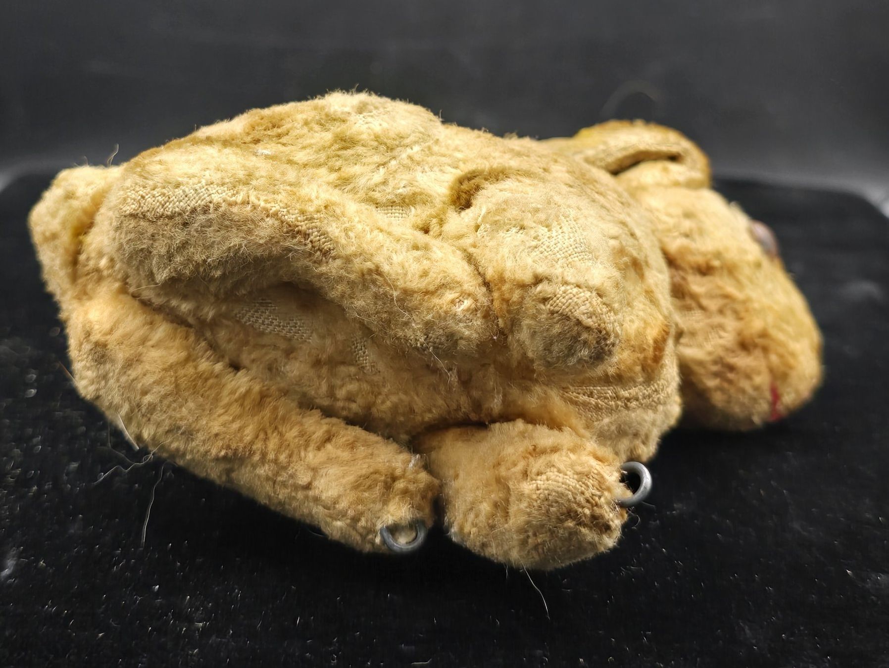 Steiff Giocattoli: Steiff Ballhase – Usato da Rorschacherberg venduto da snOOpydOg11 2