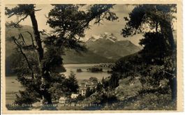 Campfer - Silvaplana