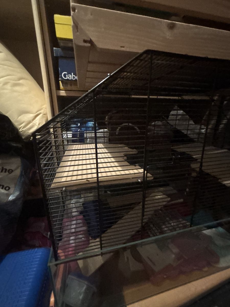Gabbie, trasporto & Sicurezza: Top, Kleintiergehege/Hamsterkäfig – Usato da Münchenstein venduto da joy_9l2y 4