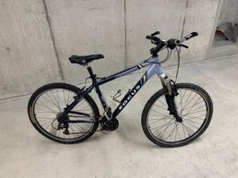 Mountain Bike Damen