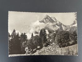 AK GL Braunwald, Ortstock