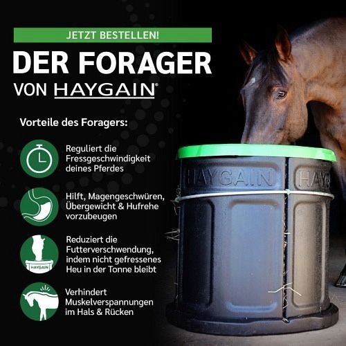Nourriture: Haygain Forager Slowfeeder gebraucht – D'occasion à Niederhasli par Ethea 4