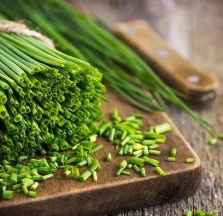 Piante & sementi: 100 Samen SCHNITTLAUCH= "Allium schoenoprasum" – Nuovo e nell'imballaggio originale da Rovio venduto da POSITIFFARTandPLANTS 2
