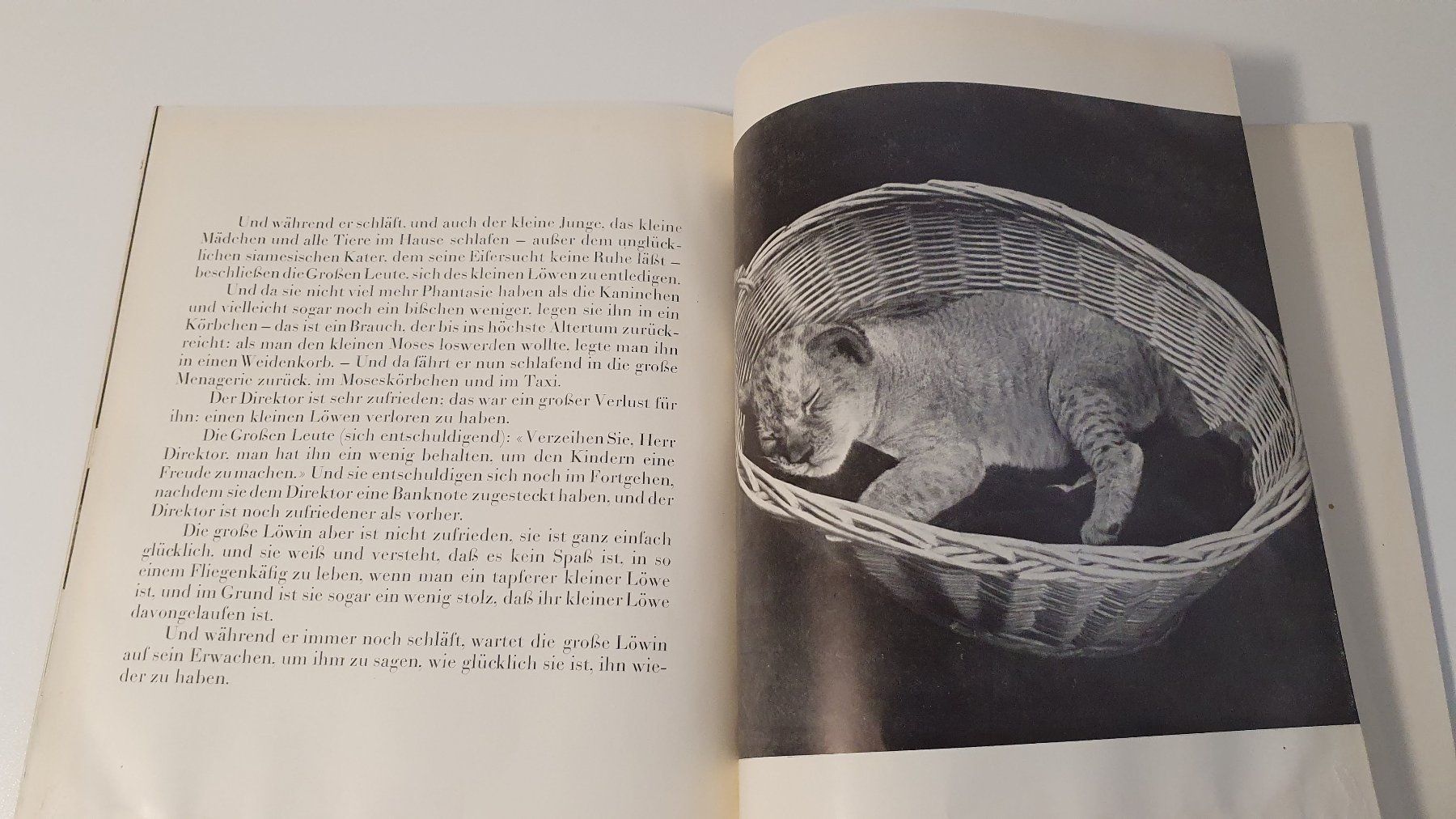 Bücher: Der kleine Löwe. Bilder von Ylla. – Gebraucht aus Dietlikon von Justus4 3
