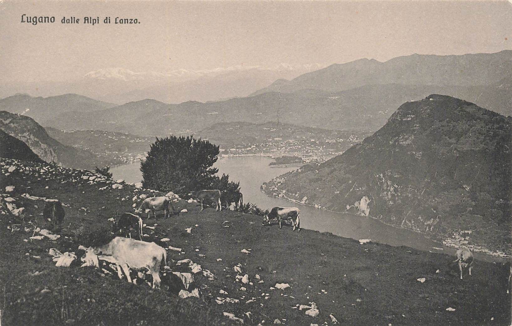 Cartoline postali: Lugano alpi Lanzo – Usato da Biasca venduto da Blenio71