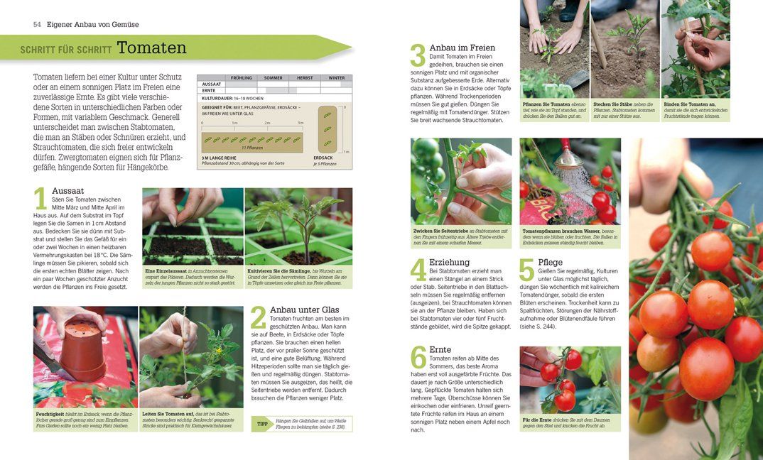 Libri: Kleiner Garten - große Ernte – Usato da Neuchâtel venduto da Dualseele 1