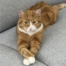 Profile image of Jerixx