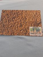 Carte postale ancienne rare - Ethiopie Café Arabica