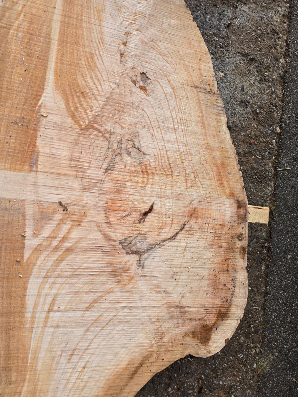 Articoli in legno: Buchenknollen Brett – Nuovo (secondo la descrizione) da Ramsei venduto da Waelchris 7