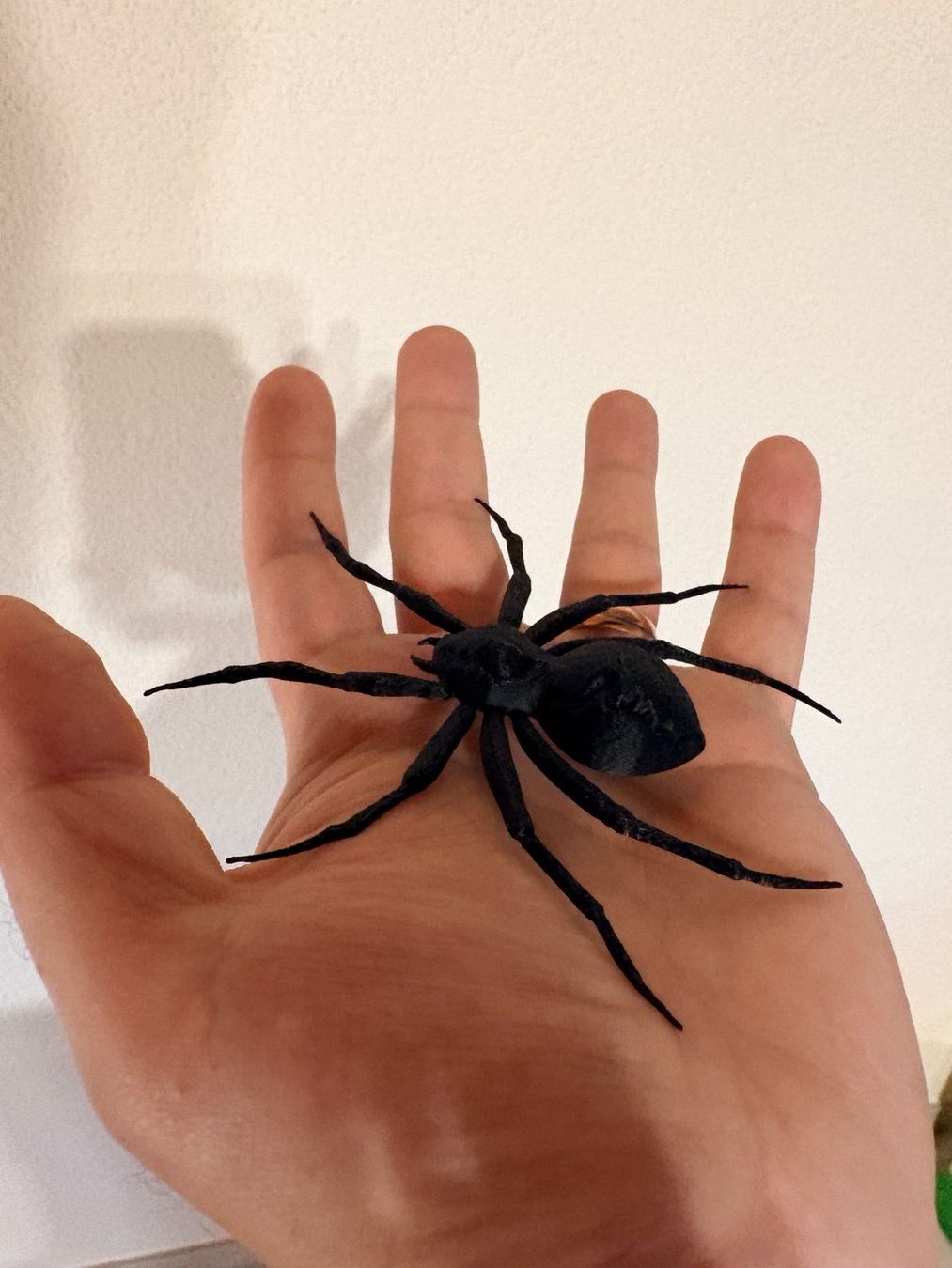Tutte le decorazioni: Halloween Spinnen 4er Set – Nuovo e nell'imballaggio originale da Fislisbach venduto da tam_t828 3