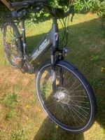Vélo électrique Trelago