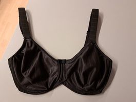 BH 75 E Prima Donna