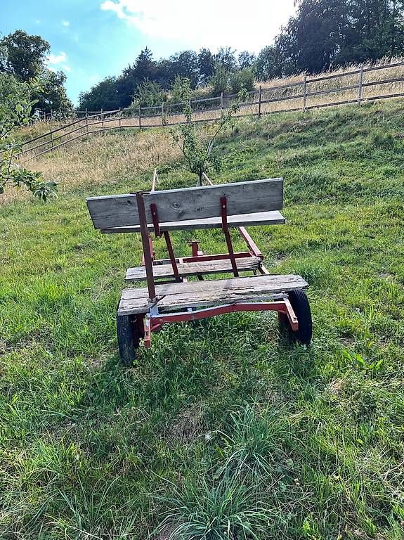 Calèches: Calèche 2 roues – D'occasion à Monts-de-Corsier par gta_7kkn 2