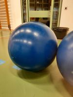 Balancekugel / Laufkugel für Zirkus / Artistik / Rugel Kugel