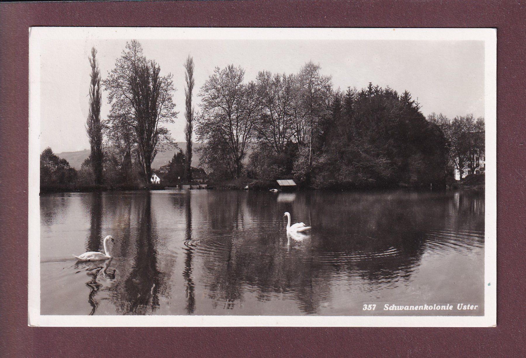 Cartoline postali: USTER - Schwanenkolonie - 1945 – Usato da Pully venduto da nicecards