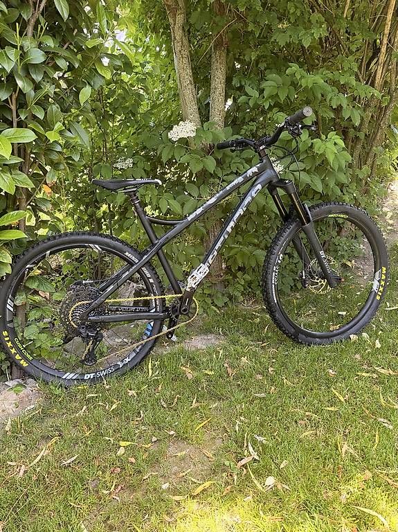 Velos: Dartmoor Primal L Hardcore Hardtail | DT Swiss | Mullet – Gebraucht aus Root von Kaiteur 1