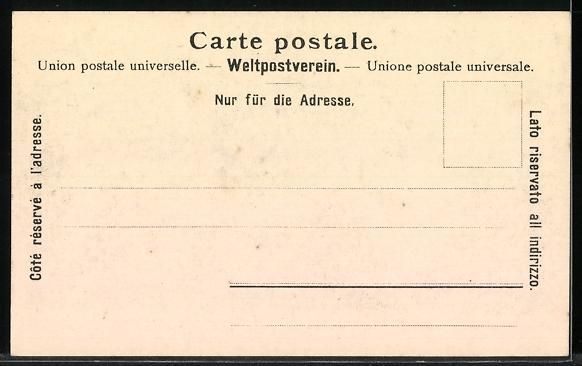 Cartoline postali: AK Meyringen, Brücke mit Brünigbahn – Usato da Berlin venduto da bartko-reher 1
