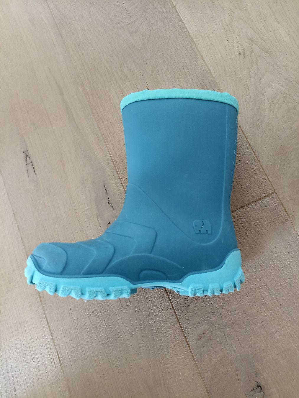 Elefanten Schuhe für Jungen: Elefanten Gummistiefel Gr. 24 – Gebraucht aus Zürich von Fdoamaral