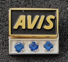 BB164 - Arbeiter Jahres Pin