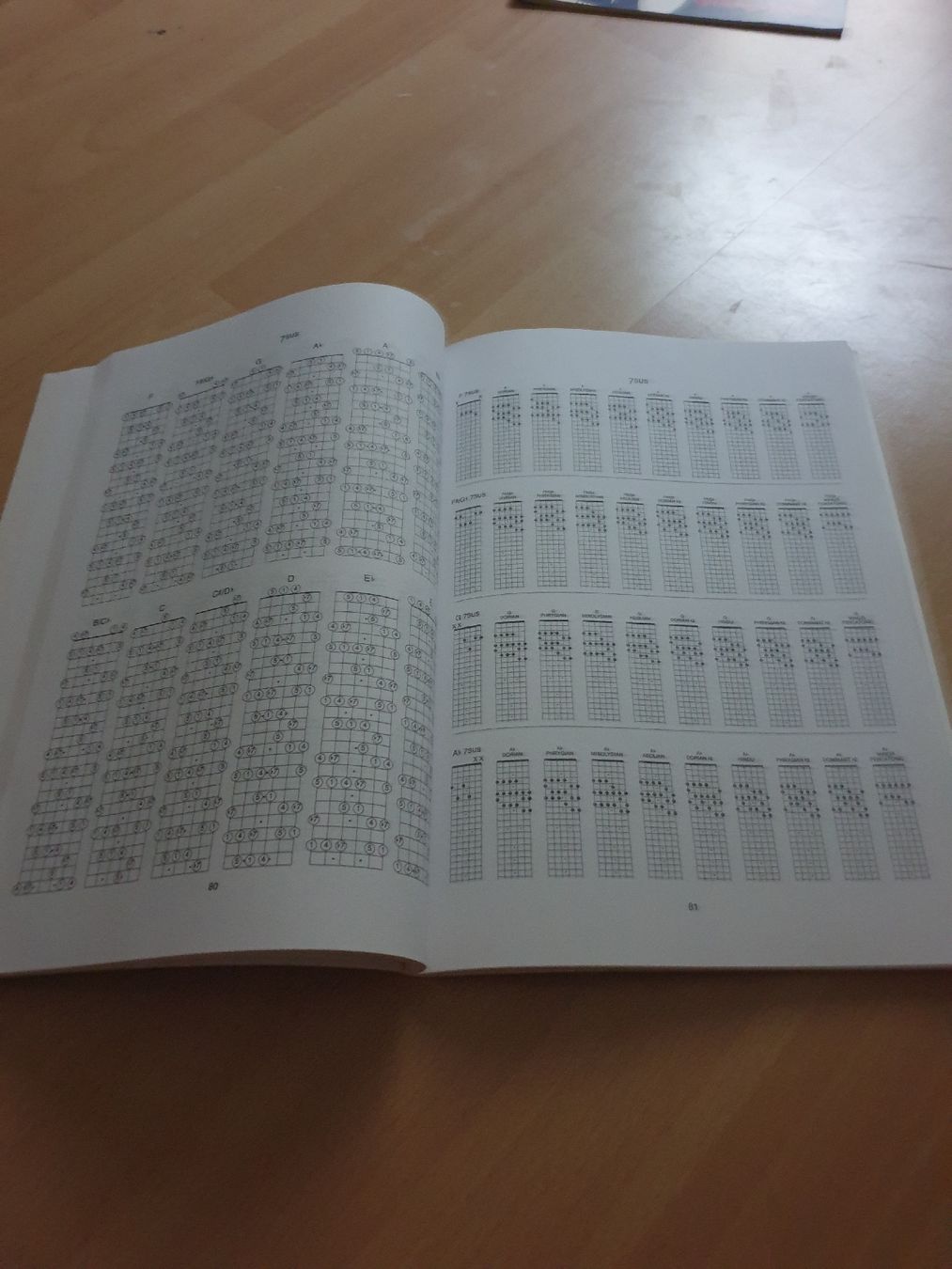 Libri: Guitar Chords & Voicings Buch gebraucht – Usato da Basel venduto da tho_7xlw 1