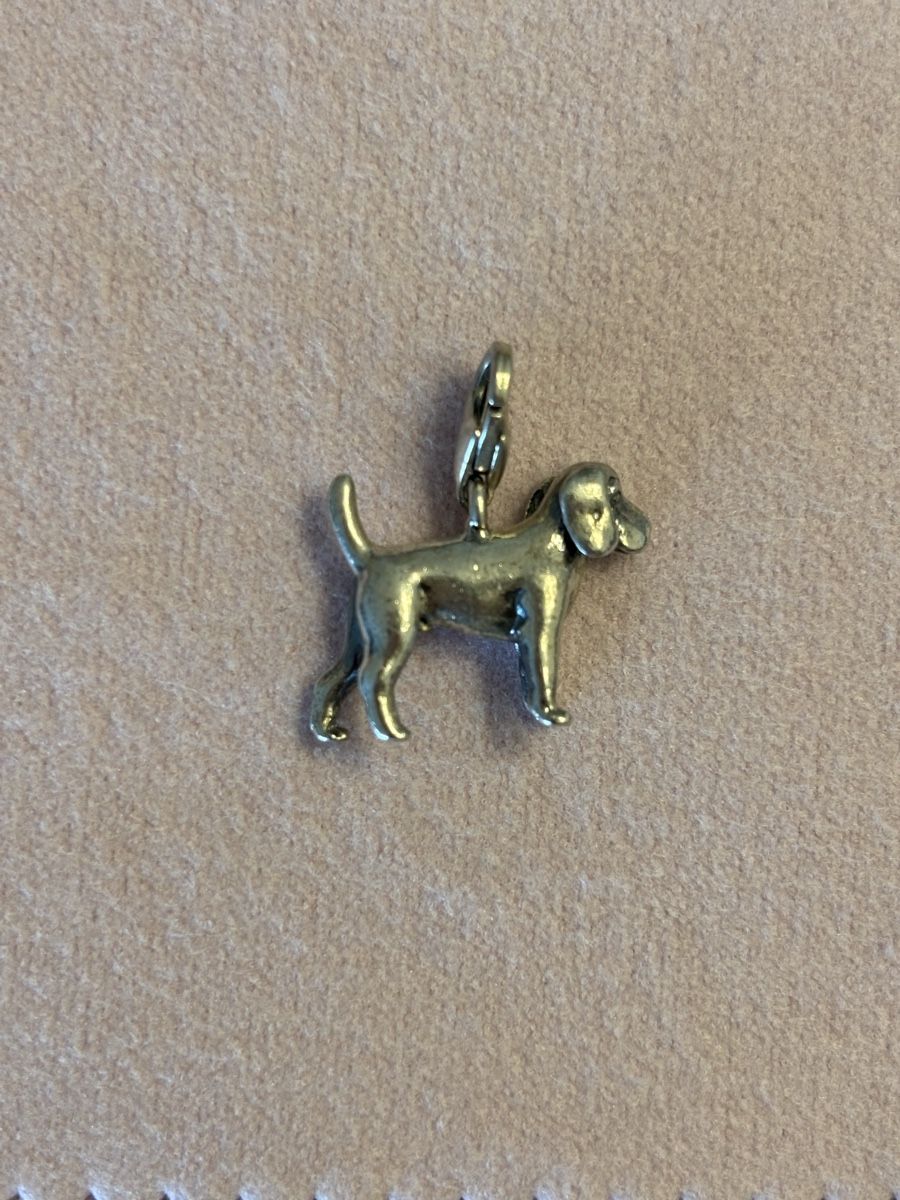 Thomas Sabo Ciondoli: Thomas Sabo Anhänger Hund Silber – Usato da Uetikon am See venduto da ansi2601 1