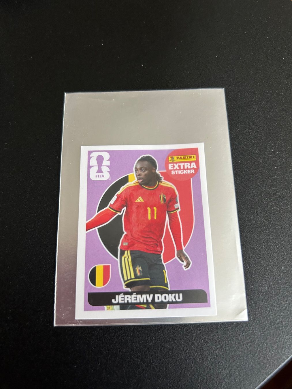 Panini Carte collezionabili: Panini Extra Sticker Doku regular – Usato da Riehen venduto da goretto