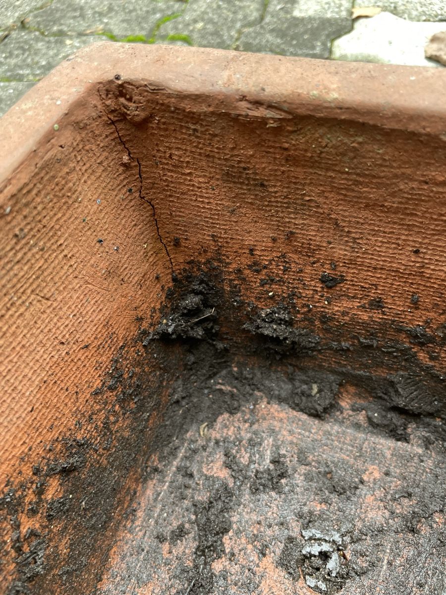 Blumentöpfe: 8 Grosse Blumentöpfe – Gebraucht aus Basel von Exceptnotes 2