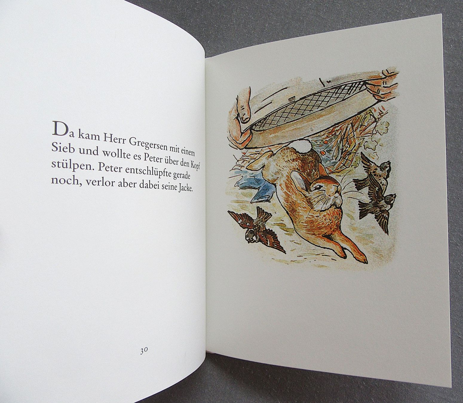 Livres: Die Geschichte von Peter Hase - kleines Bilderbuch – D'occasion à Auenstein par Padabimbim 7