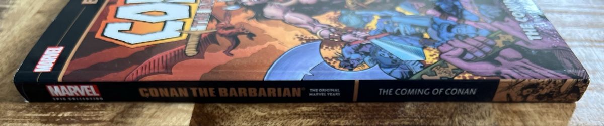 Fumetti: Marvel Epic Collection Conan the Barbarian Vol.1 – Nuovo (secondo la descrizione) da Laufen venduto da ric_9vmm 5