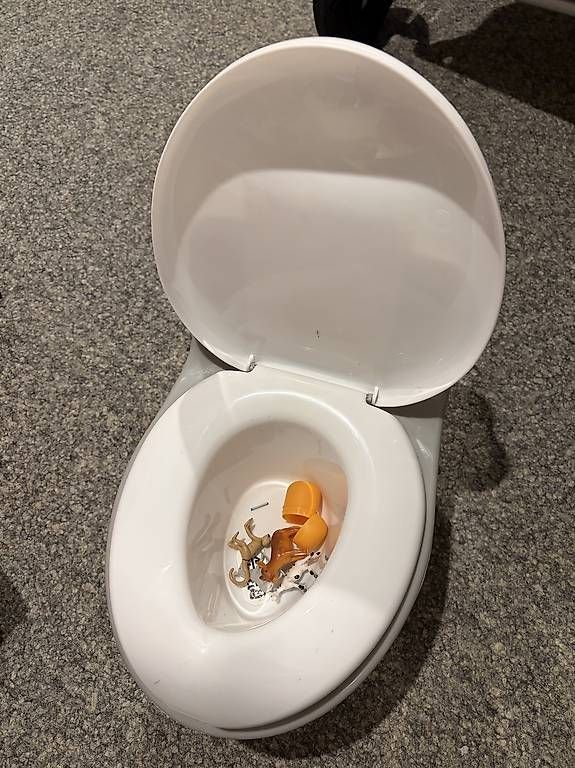 WC: Kinder-WC Pickachu – Gebraucht aus Küsnacht ZH von sis_v7qk 1