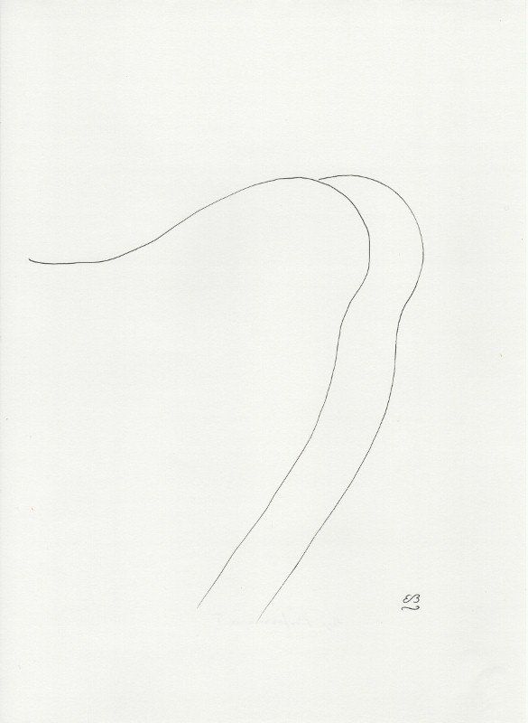 Dipinti: Serie 4 Zeichnungen: Legs Performance – Nuovo (secondo la descrizione) da Fribourg venduto da erw_68dx 1
