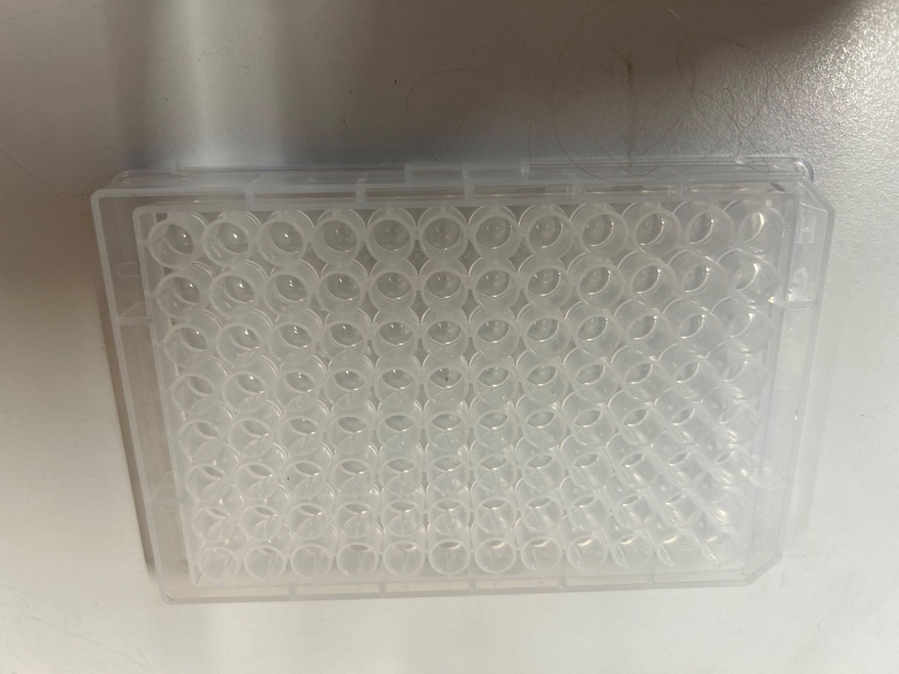 Wände & Decken: 89 stk GBO Microplates - 96-Well – Neu (gemäss Beschreibung) aus Schupfart von philippb06 4